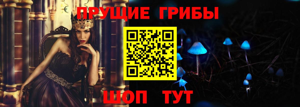 Галлюциногенные грибы Psilocybine cubensis Ковров