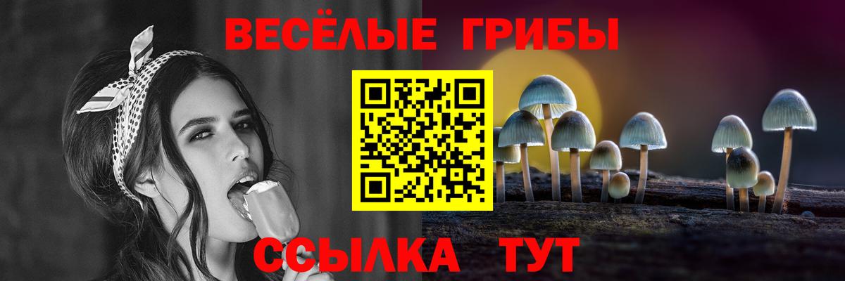 Псилоцибиновые грибы GOLDEN TEACHER  Вход с VPN  Ковров 